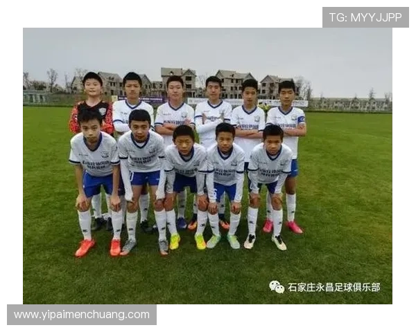 北京足球队比赛经验分析与表现评估的综合研究报告 北京足球队比赛经验分析与表现评估的综合研究报告